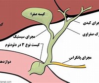 سبزیجاتی که حتما باید در روزهای گرم مصرف کنید